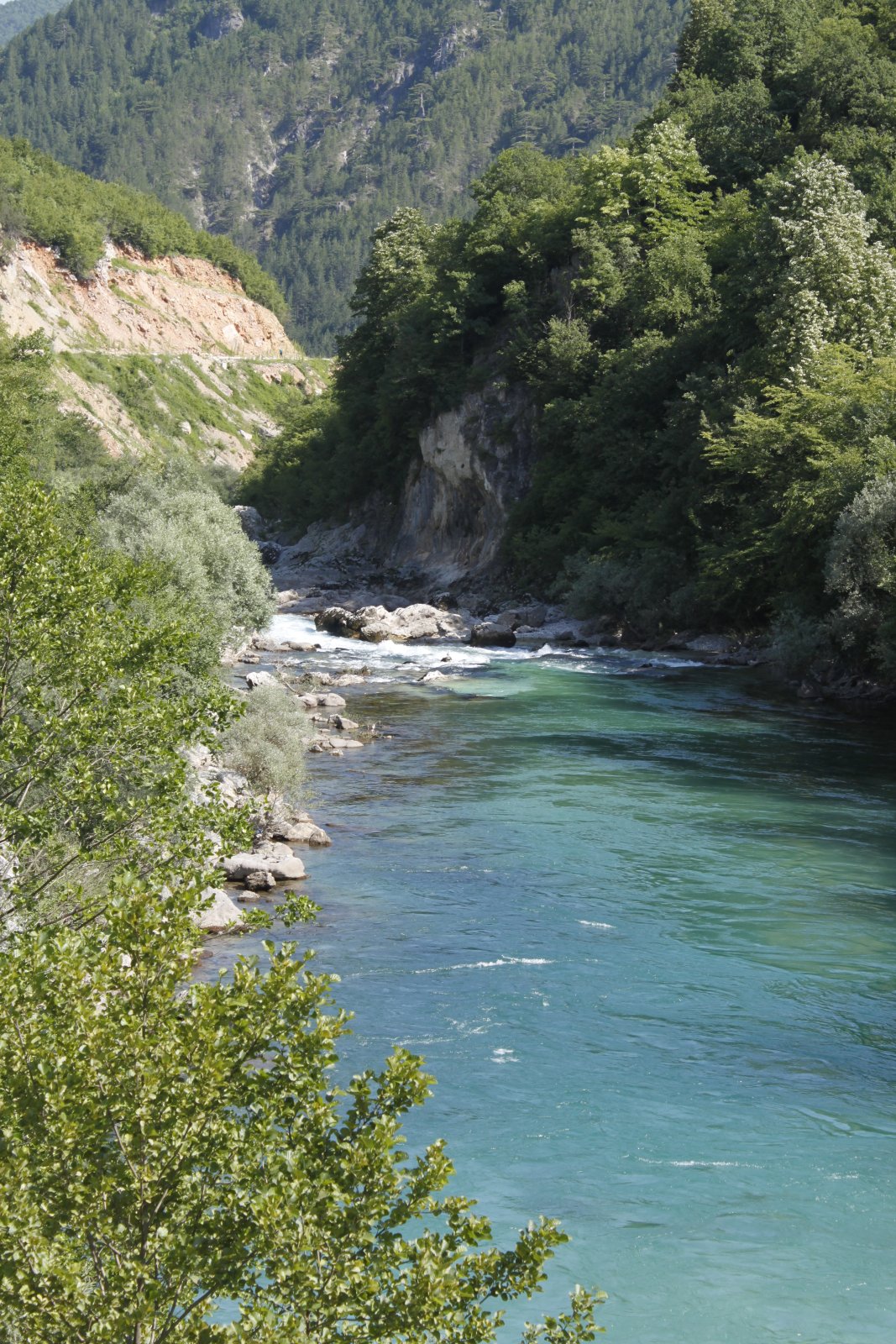 White Water Rafting87